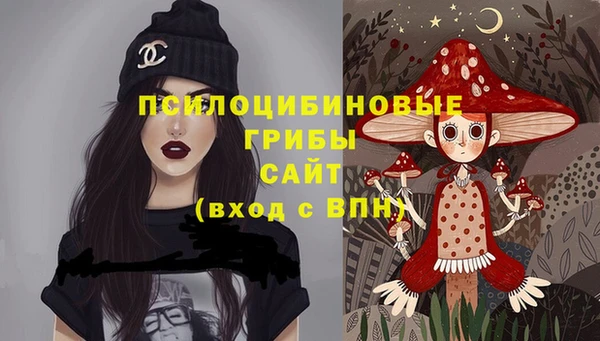 гашик Верхнеуральск